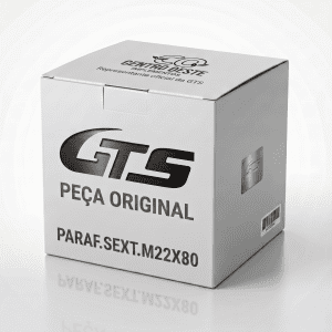 PARAF.SEXT.M22X80 0101122080