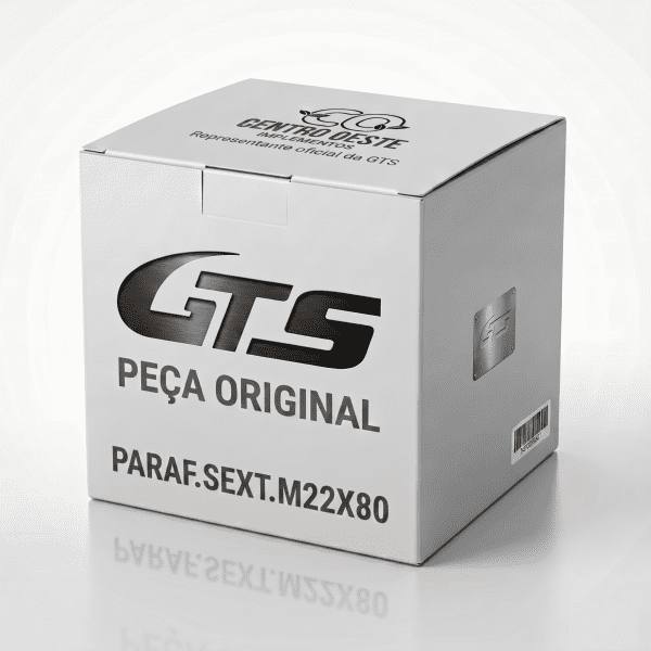 PARAF.SEXT.M22X80 0101122080